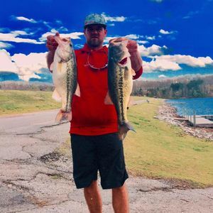 Meet your Posher, Barry